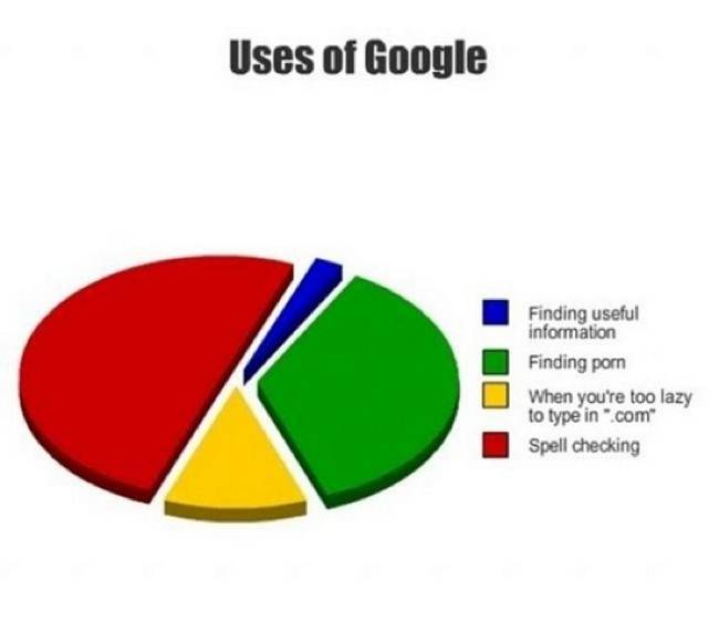 pie charts funny - Uses of Google Finding useful information Finding porn When you're too lazy to type in "com" Spell checking