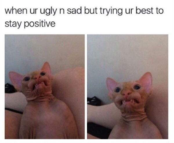 ugly and sad - when ur ugly n sad but trying ur best to stay positive