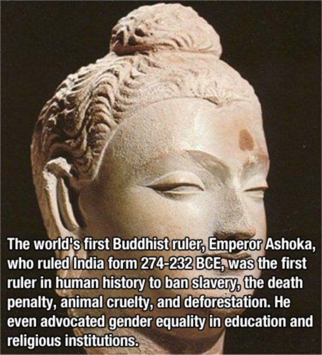 king ashoka - The world's first Buddhist ruler, Emperor Ashoka, who ruled India form 274232 Bce, was the first ruler in human history to ban slavery, the death penalty, animal cruelty, and deforestation. He even advocated gender equality in education and 