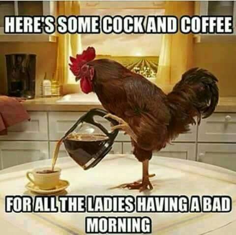 Inappropriate meme of cock and coffee for the ladies having a bad morning