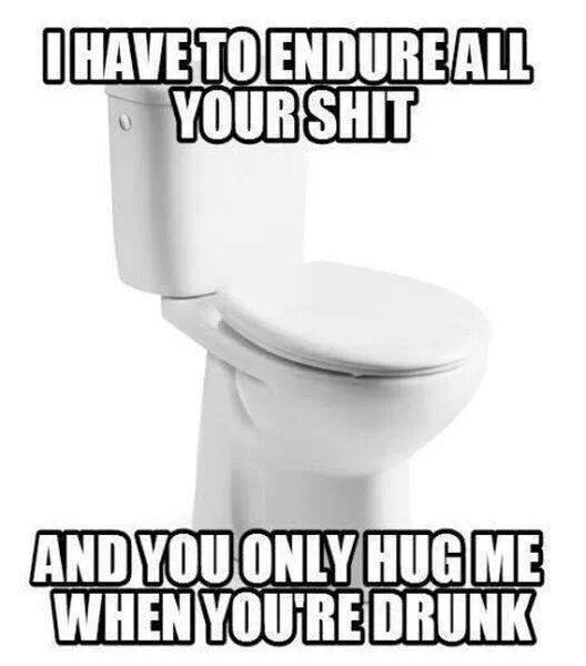 Inappropriate meme about a toilet