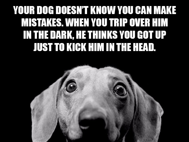 live like a dog quote - Your Dog Doesn'T Know You Can Make Mistakes. When You Trip Over Him In The Dark, He Thinks You Got Up Just To Kick Him In The Head.