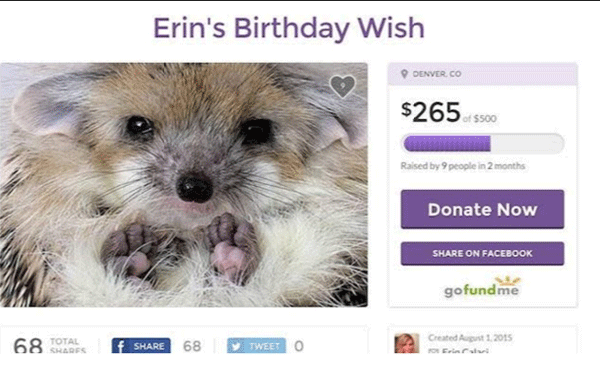memes - Erin's Birthday Wish Denver, Co $2655500 Raised by people in 2 months Donate Now On Facebook gofundme 68 Total Created us 1. 2015 f 68 y Twee To