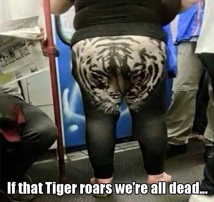 memes - if that tiger roars - If that Tiger roars we're all dead..