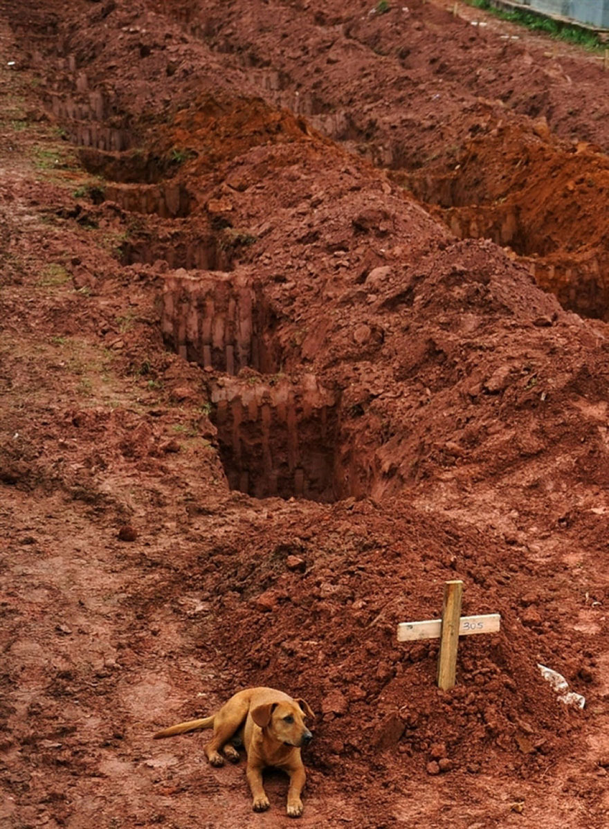 A dog named Leao sits near his deceased owners remains after a disastrous landslide in Rio de Janiero.