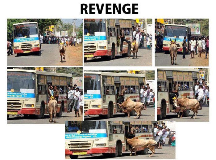 commercial vehicle - Revenge