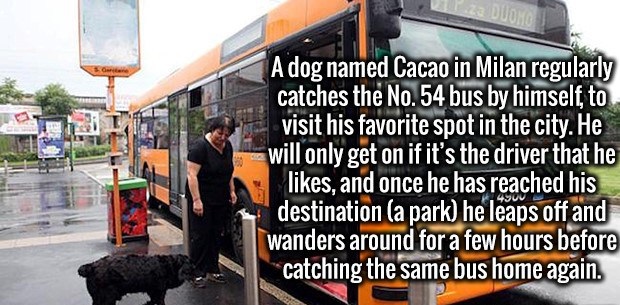 28 Miscellaneous Facts That Will Surely Pique Your Interest