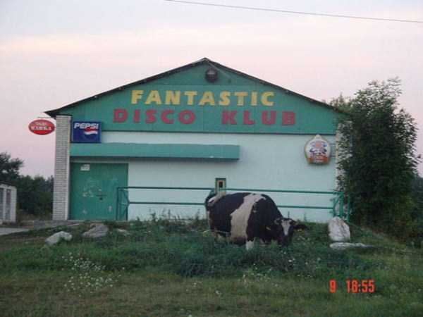 redneck disco - Fantastic Disco Klub e D Fanta, g