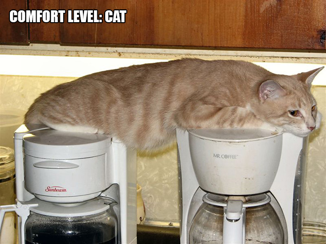 14 Examples of Cat Logic That Cat People Will Understand