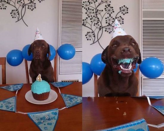 28 Entertaining Images That Will Surely Make You Smile
