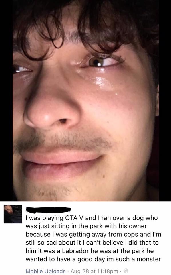 lip - I was playing Gta V and I ran over a dog who was just sitting in the park with his owner because I was getting away from cops and I'm still so sad about it I can't believe I did that to him it was a Labrador he was at the park he wanted to have a go
