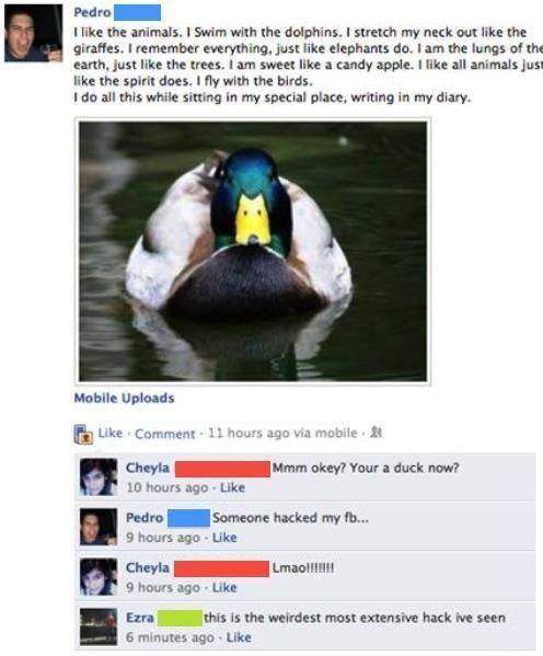 26 Forgetful People That Regret Not Logging Out Of Facebook