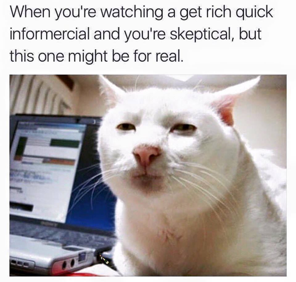 memes - meme animal - When you're watching a get rich quick informercial and you're skeptical, but this one might be for real.