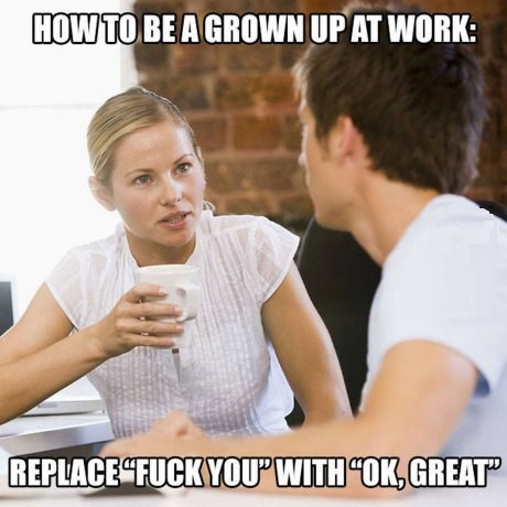 memes - work funny - How To Be A Grown Up At Work Replacefuck You With Ok, Great"