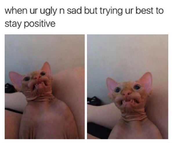 memes - sad ugly memes - when ur ugly n sad but trying ur best to stay positive