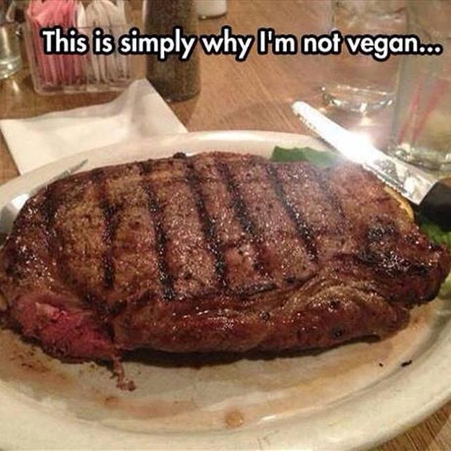 i m not vegan - This is simply why I'm not vegan...