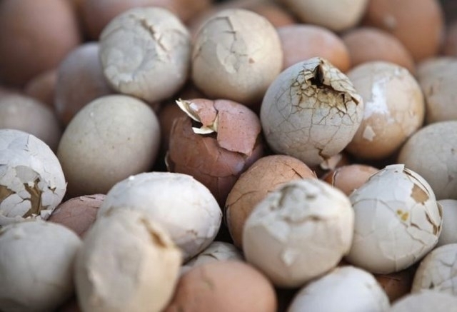 In the Chinese province of Zhejiang, many citizens find Eggs hard boiled in the urine of little boys to be an extra special delicacy. Nobody really knows why they do it, but it has been done for centuries. Parents collect the urine of their schoolchildren, preferably before the age of 10, then boil them on the open air.