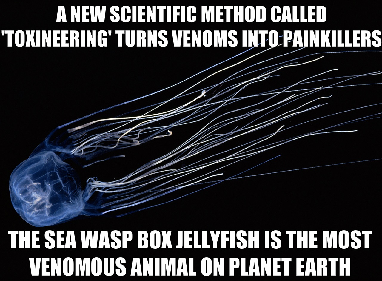 21 Interesting Facts That Will Stimulate Your Brain