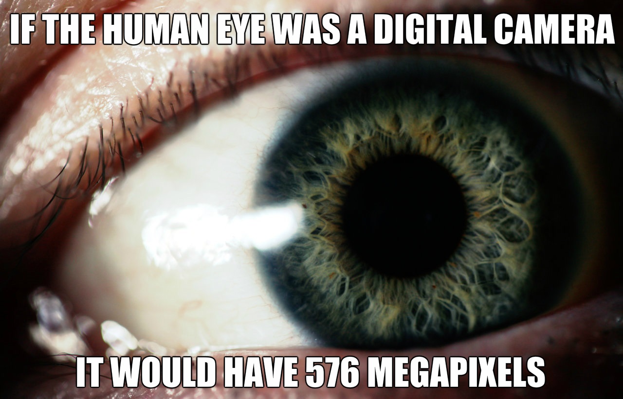 21 Interesting Facts That Will Stimulate Your Brain