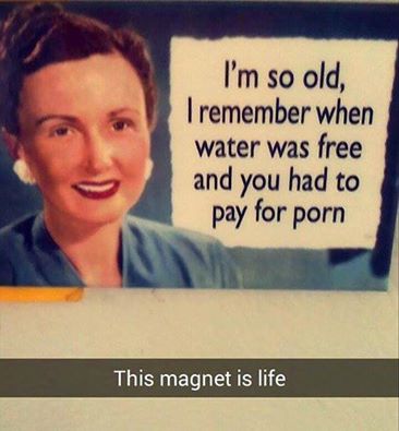 Humour - I'm so old, I remember when water was free and you had to pay for porn This magnet is life
