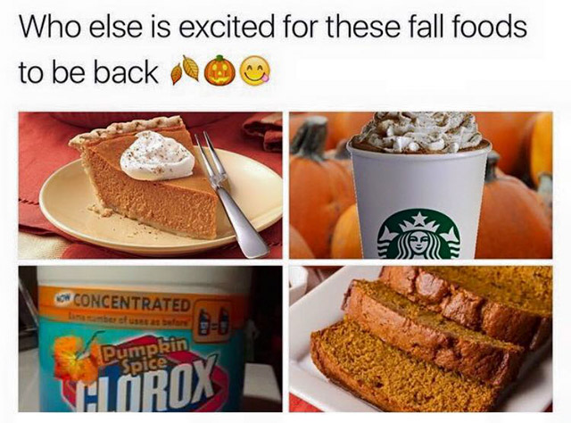baking - Who else is excited for these fall foods to be back 0 Concentrated Pumpkin Spice Chlorox
