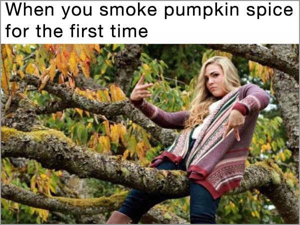 pumpkin spice meme - When you smoke pumpkin spice for the first time