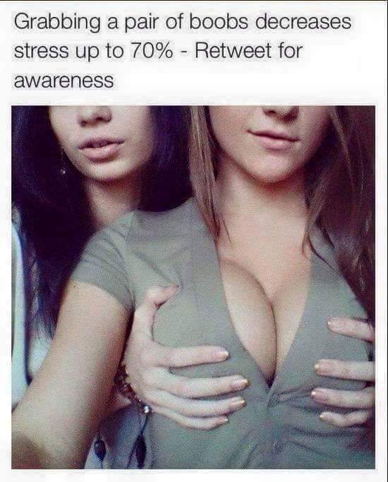 touching breasts reduces stress - Grabbing a pair of boobs decreases stress up to 70% Retweet for awareness