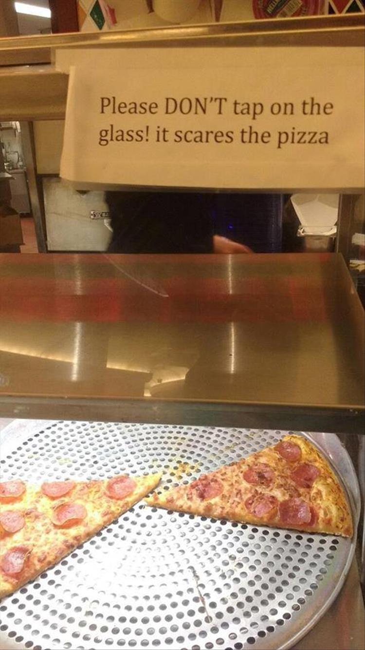 please don t tap on the glass meme - Please Don'T tap on the glass! it scares the pizza . Oooo