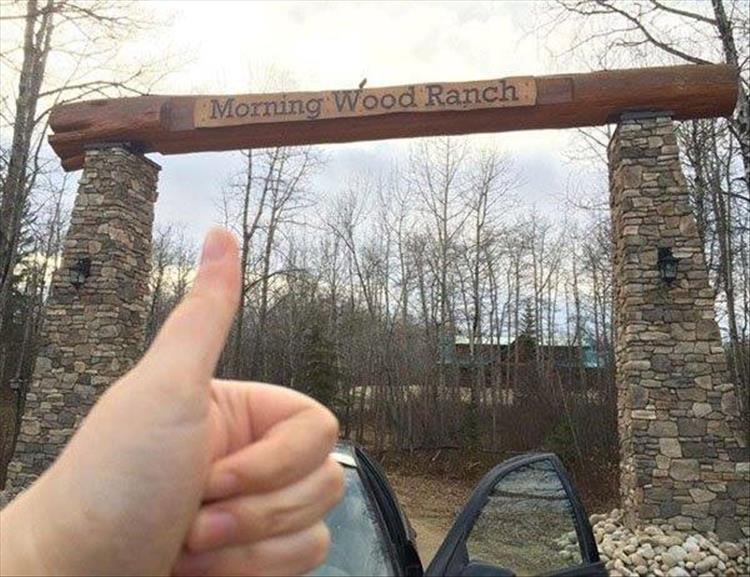 random pic tree - Morning Wood Ranch
