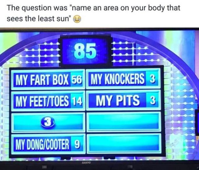 multimedia - The question was "name an area on your body that sees the least sun" @ 85 My Fart Box 56 My Knockers 3 My FeetToes 14 My Pits 3 My DongCooter 9