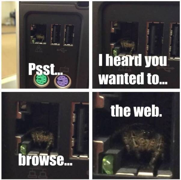 spider in pc meme - Psst. I heard you wanted to... the web. browse...
