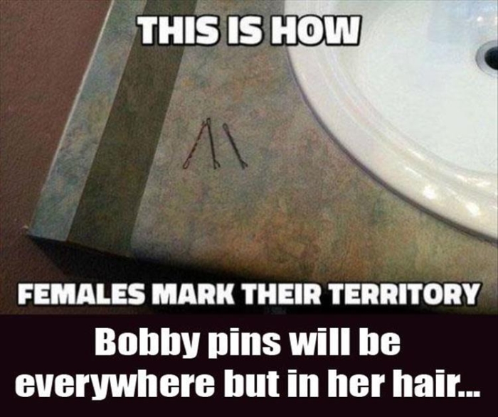 Funny sexist meme that says - This Is How Females Mark Their Territory Bobby pins will be everywhere but in her hair...