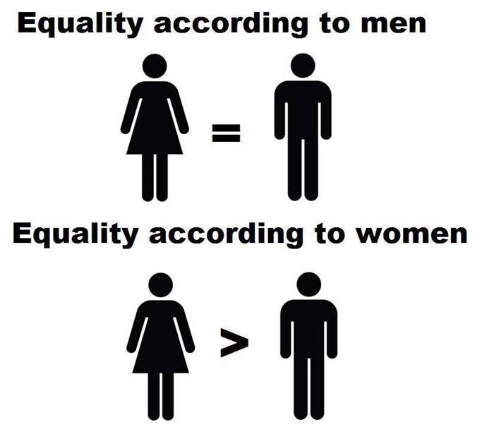 Funny sexist meme that says - millennium park - Equality according to men Equality according to women
