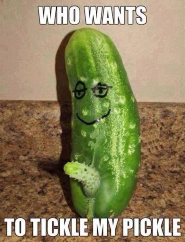 Low brow humor meme of a pickle with a pickle asking if anyone wants to tickle it.