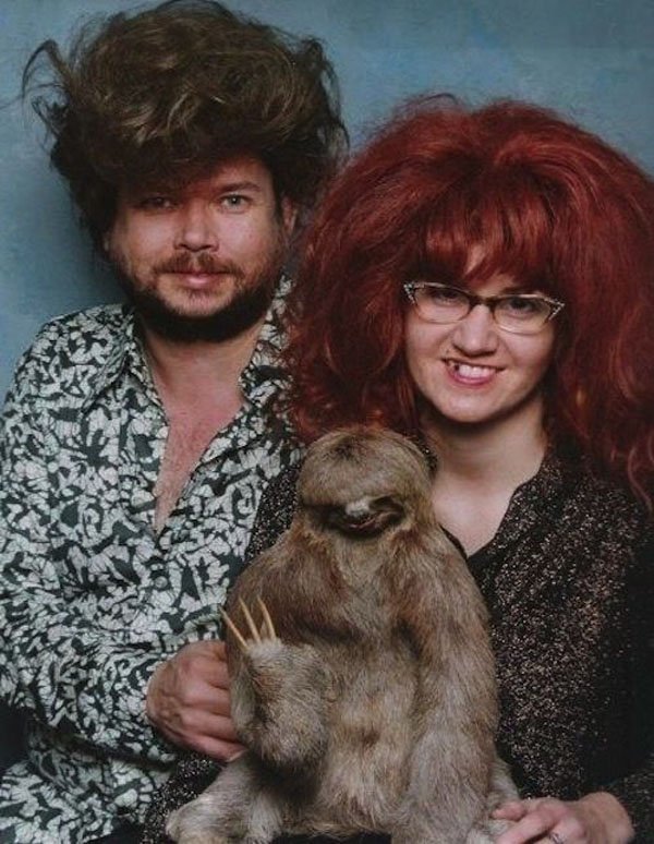 wtf pic sloth family