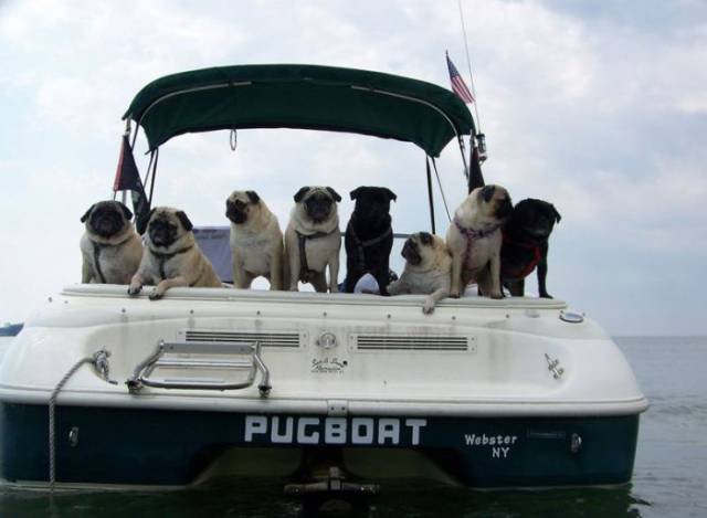 pug boat - Pugboat Webster Ny
