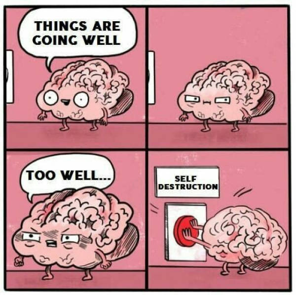 Funny meme of how the brain wants to self destruct when things are going well.