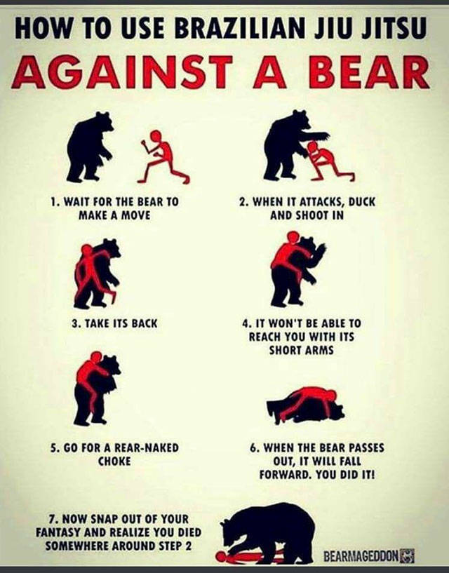 Funny directions on how to do against an attack from a bear.