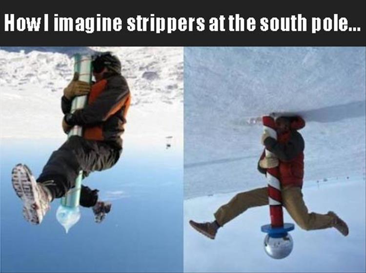 Funny meme imagining how strippers are in the south pole.
