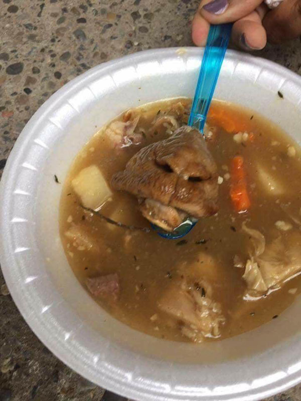 disturbing cat in chinese soup