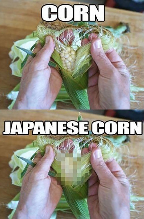 Corn VS Japanese Corn which has been pixelated