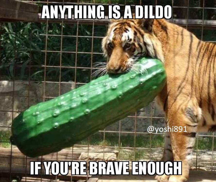 Brave tiger holding massive cucumber with caption text about anything can be a dildo
