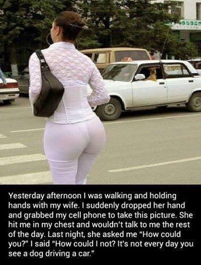 Pic of a thicc woman crossing the street and there is a dog driving the car behind her.