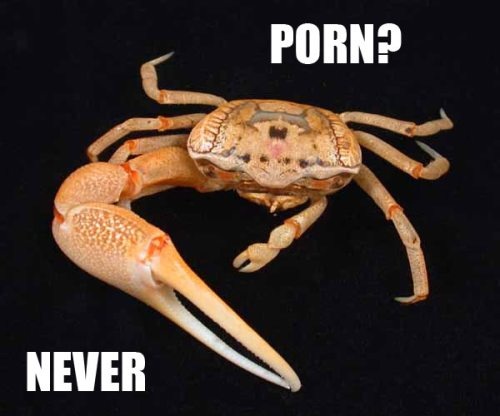 Crab with one claw only, that says he shuns adult movies.
