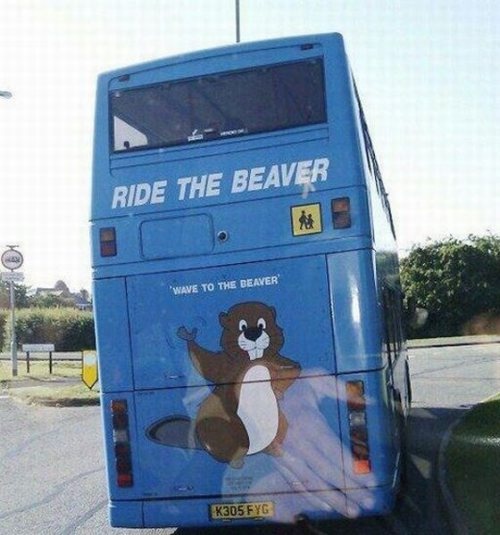 Bus that says Ride The Beaver on it.