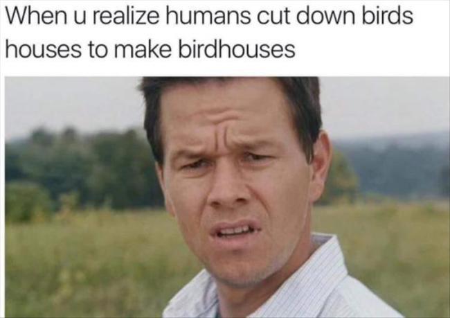 birdhouse memes - When u realize humans cut down birds houses to make birdhouses