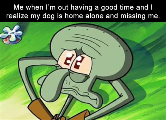 you re out having a good time meme - Me when I'm out having a good time and I realize my dog is home alone and missing me.
