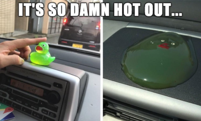 melting duck twitter - It'S So Damn Hot Out...