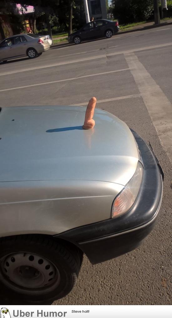 Funny sex toy mounted onto a car hood
