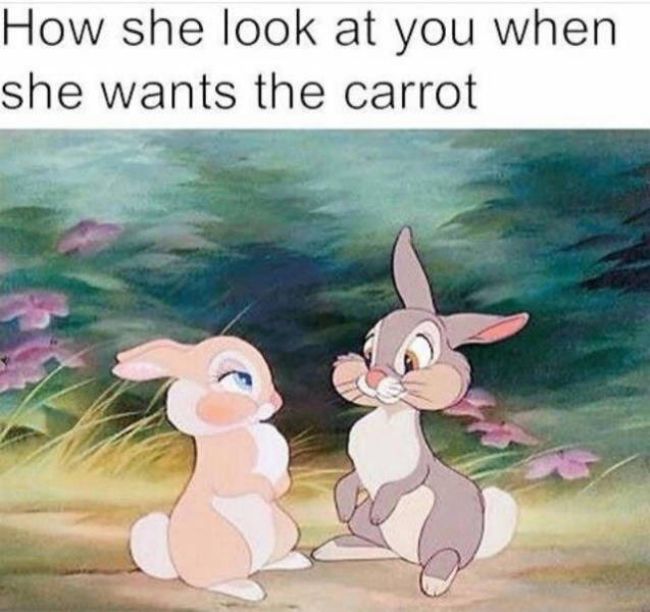 Bugs bunny meme cartoon of how she looks at you when she wants the carrot.